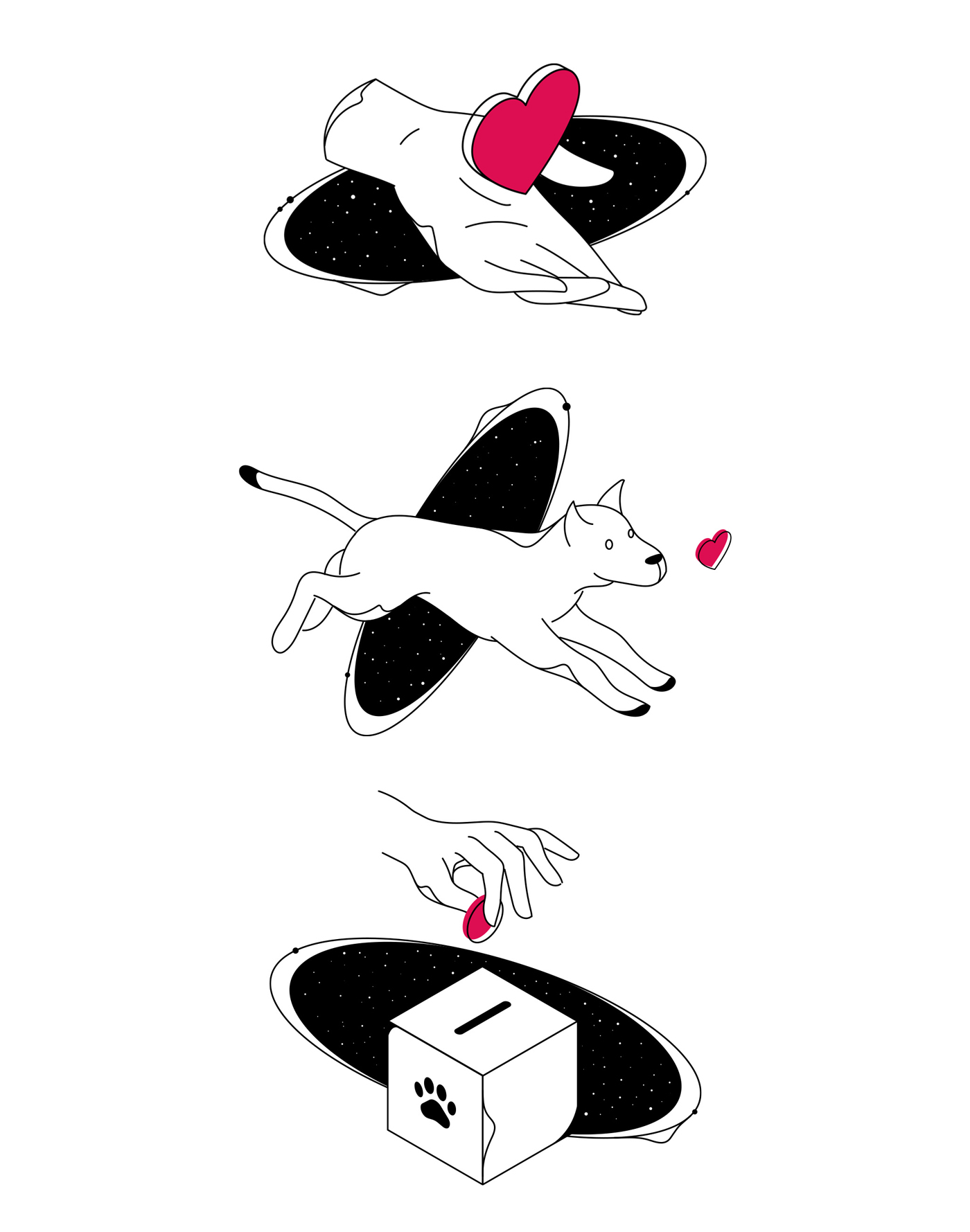 Animalovers - Aplikacja mobilna